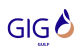 Item_margin