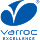 Varroc excellence